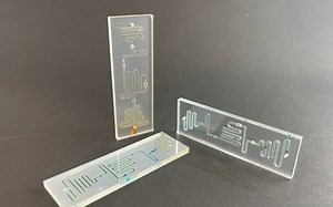 microfluidic chip