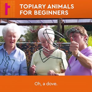 34K views · 53 reactions | Get in, start clipping, make your own Topiary Animals. | Together TV | Facebook