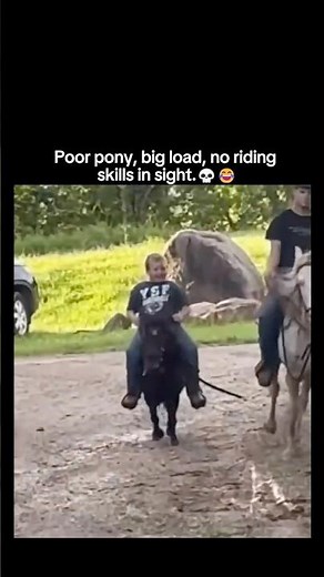 Poor pony, big load, no riding skills in sight. 😂🫶