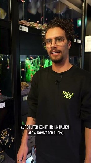 Du bist Einsteiger in der Aquaristik? Hier kommen die Top 5 Anfänger-Fische!