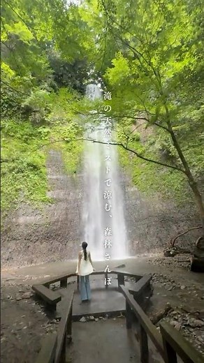 大分県観光情報【夏あそび】湧水と森が誘う、ひんやり竹田の夏時間