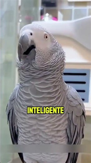 Encontró un Huevo Minúsculo… y Mira lo que Nació 🥚🦜❤️