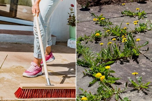The 79p hack that kills patio weeds instantly and stops them from growing back