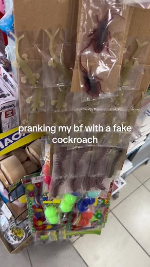 Pranking My Boyfriend with a Fake Cockroach | Funny Reaction