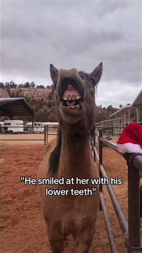 This is what romance authors mean, right🐴😌#trend #foryou #funny