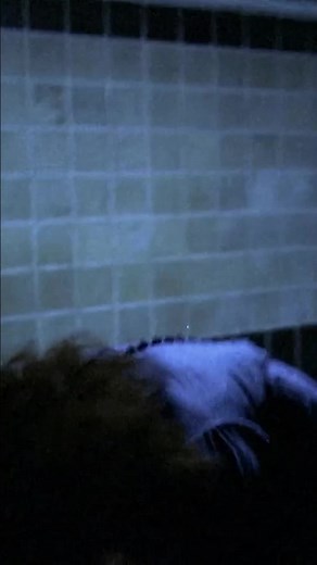 Possession 1981 subway scene