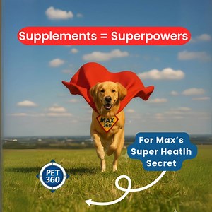 39 reactions | We offer a range of science based pet lifestyle products that are tested by veterinarians & trusted by pet parents alike. Your pet buddy can count on us for the Right Degree of Care all year round! | PET360.Official | Facebook