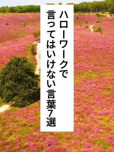 ハローワークで言ってはいけない言葉7選 #給付金 #退職 #ハローワーク