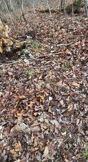 When your brother says his game camera isn’t working so you go see bout it.. might be why it’s not working! #bowtecharchery #bowtech #missouri #huntingseason #huntingtiktok #archery #tacticam #fyp #ruger1911 #turkeyseason2022 #opticalillusion #asmr #aesthetics #recommendations #powerkapunch