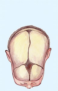 POSICIÓN FETAL - Aula Ginecología