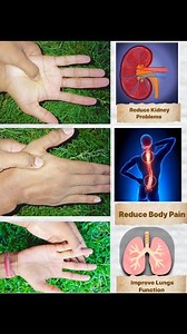 1.6M views · 12K reactions | Improve Your Lungs 贈 Function, Reduce Body Pain, Reduce Kidney Related Problems ✅ Use those Acupressure Points ❤️ Get Result Try this Every day 2-5 minutes Both hands #bodypainrelief #bodybuilding #kidneyhealth #lung #lunghealth #painrelief #backpain #neckpain #elbowpain #viralvideoシ #viralreelsシ #viralreels #trendingreels #Elections2024 #kolkata #yoga #india #acupressure #acupuncture #therapy Sourav Yoga | Sourav Yoga | Facebook