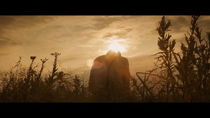 Thinking About Shooting Anamorphic? Here's What You Need to Know