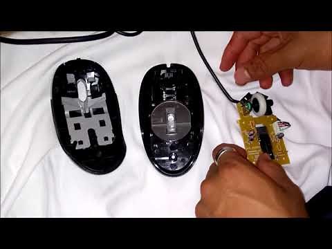 Partes internas del mouse