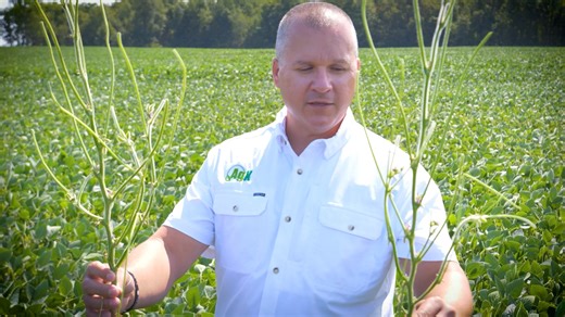 Who tuned in to today’s episode of Top Crop TV? 🙌 We want to hear what you thought! Drop your favorite moment or takeaway from the show below, and if you missed it, you can catch it anytime at cornwarriorstv.com. Presented by AgXplore #TopCropTV #Farmily #AgXplore | Top Crop TV