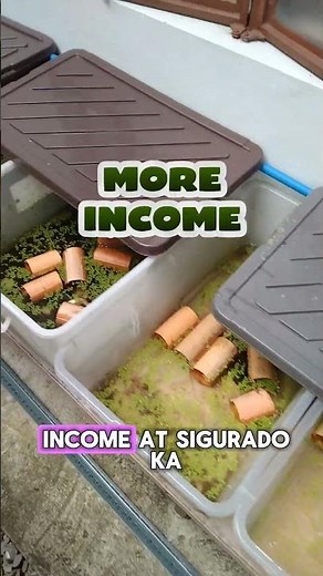Backyard Crayfish Farming: Small Space, Big Profits! 💯