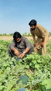 678 reactions · 4 comments | Just a daily dose of pure comedy!  #IndianHumor #FunnyMoments #Rusia #Paris2024 #comedynight | Santa Tours | Facebook