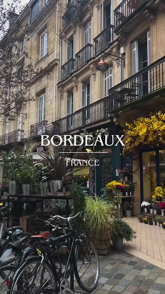 Exploring Bordeaux: A Solo Traveling Experience