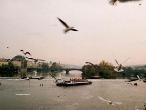 The song "Magbalik" | 𝙈𝙪𝙨𝙞𝙘𝙢𝙤𝙤𝙙.