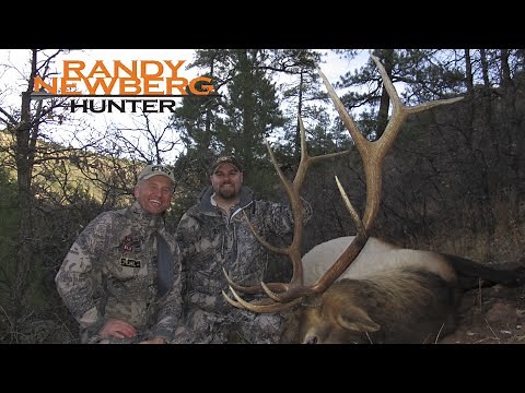 Arizona Elk Hunting with Randy Newberg - Big Kaibab Bulls (FT S1 E8)