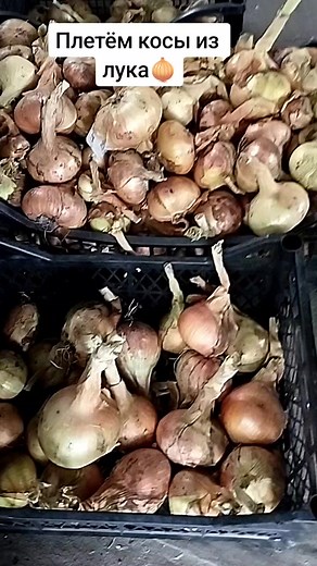 #садогороддача #полезныесоветы