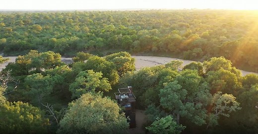 Ngala Treehouse | Sleep Under Stars on a South Africa Safari | andBeyond