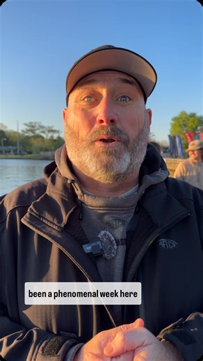 It’s Championship Sunday here in the Pasquotank River, records are on the line today! Be sure to watch LIVE on Bassmaster.com.#allbassnobull #basslife #bassfishing #bass #bassmaster #factsoffishing | Bass365