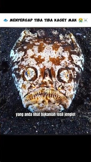 Dikira Fosil Alien Ternyata Ikan Penyergapan ☠️ #shorts #denssop #cerita #hewan