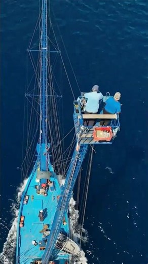 The Traditional Harpoon Boat Fishing Technique！#processing #fishing