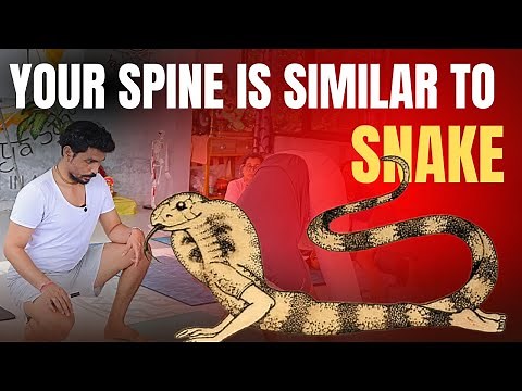 Yoga For Back Pain | Correct Your Snake Pose | Cobra Pose | BHUJANGASANA YOGA | ‪@prashantjyog‬