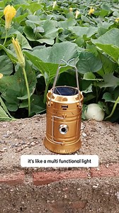 LED Camping Lantern – Solar & USB Rechargeable | Dodo Garden