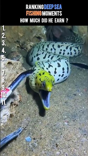 Ranking Deep Sea fishing Moments pt.53 | how much did he earn ? #deepseafishing