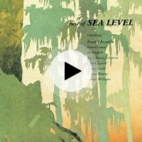 Shake A Leg by Sea Level