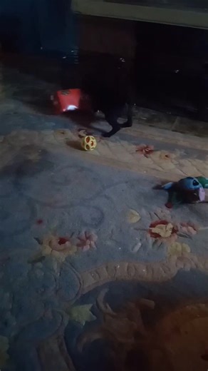 Give your little baby something sample to play with like a cardboard box play with it for hours. Baby had fun playing with that box . | Tammy Lee Ann Darby