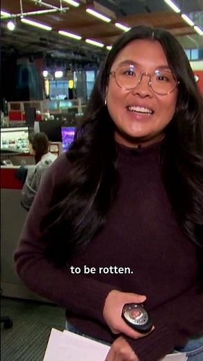 E-Comm rele top 10 most unusual calls to 911