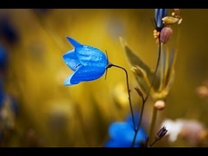 Music 432Hz - Music to Stimulate the Creativeness