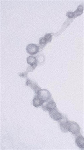 U.S. Air Force F-35A Lightning II Demonstration Team vapes | Jason Yeaman