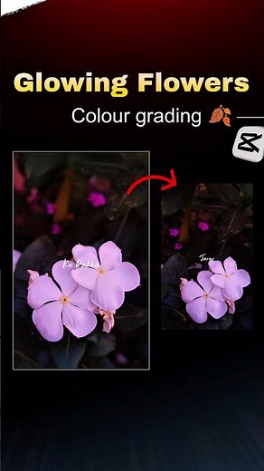 Make Your Video Pinky Glow 🌹✨ (Soft Aesthetic Flower Edit Tutorial)