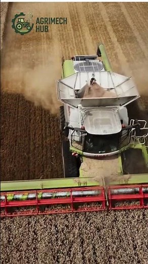 Powerful Combine Harvester in Action | Wheat Harvesting Machine 2025
