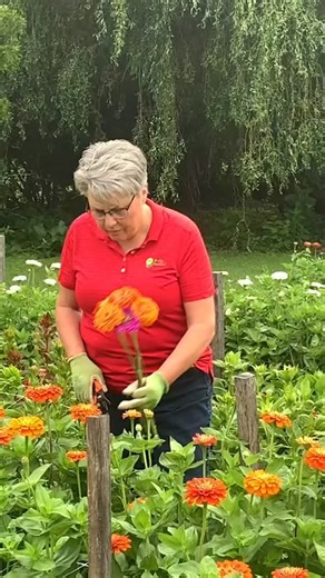 2.6K views · 174 reactions | This is one of many steps of flower...