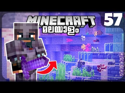 MY MEGA AQUARIUM BUILD IS COMPLETE!