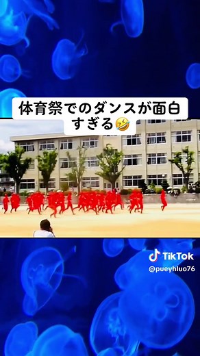 高校の体育祭で披露された面白いダンス動画！