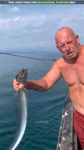 Never grab this fish by hand 🐠