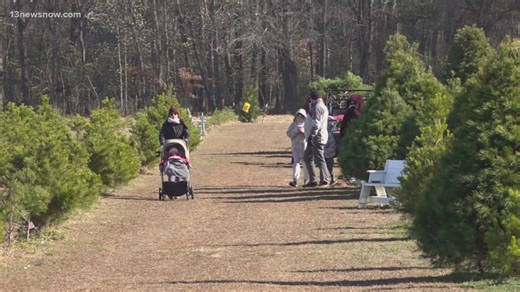 Boomer Family Christmas Tree Farm in Virginia Beach opens for the season