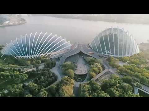 Gardens by the Bay, Where Wonder Blooms - 60 sec
