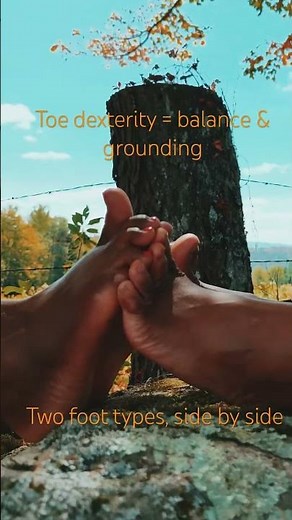 Fall Comparison & Toe Dexterity
