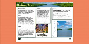 KS2 Mississippi River Fact File
