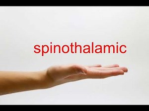 How to Pronounce spinothalamic - American English