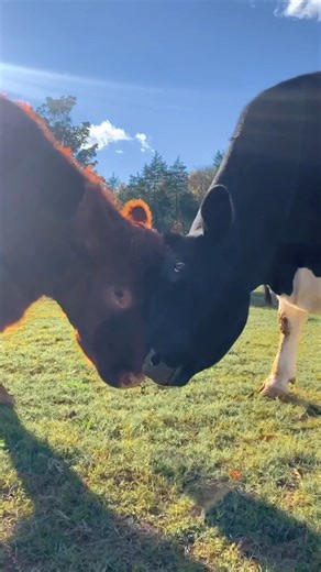 22K views · 1.3K reactions | Running through the streets after...