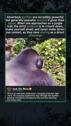 A BROWN PANTS MOMENT