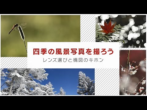 四季の風景写真を撮ろう レンズ選びと構図のキホン 講師：白井厚【キヤノン公式】